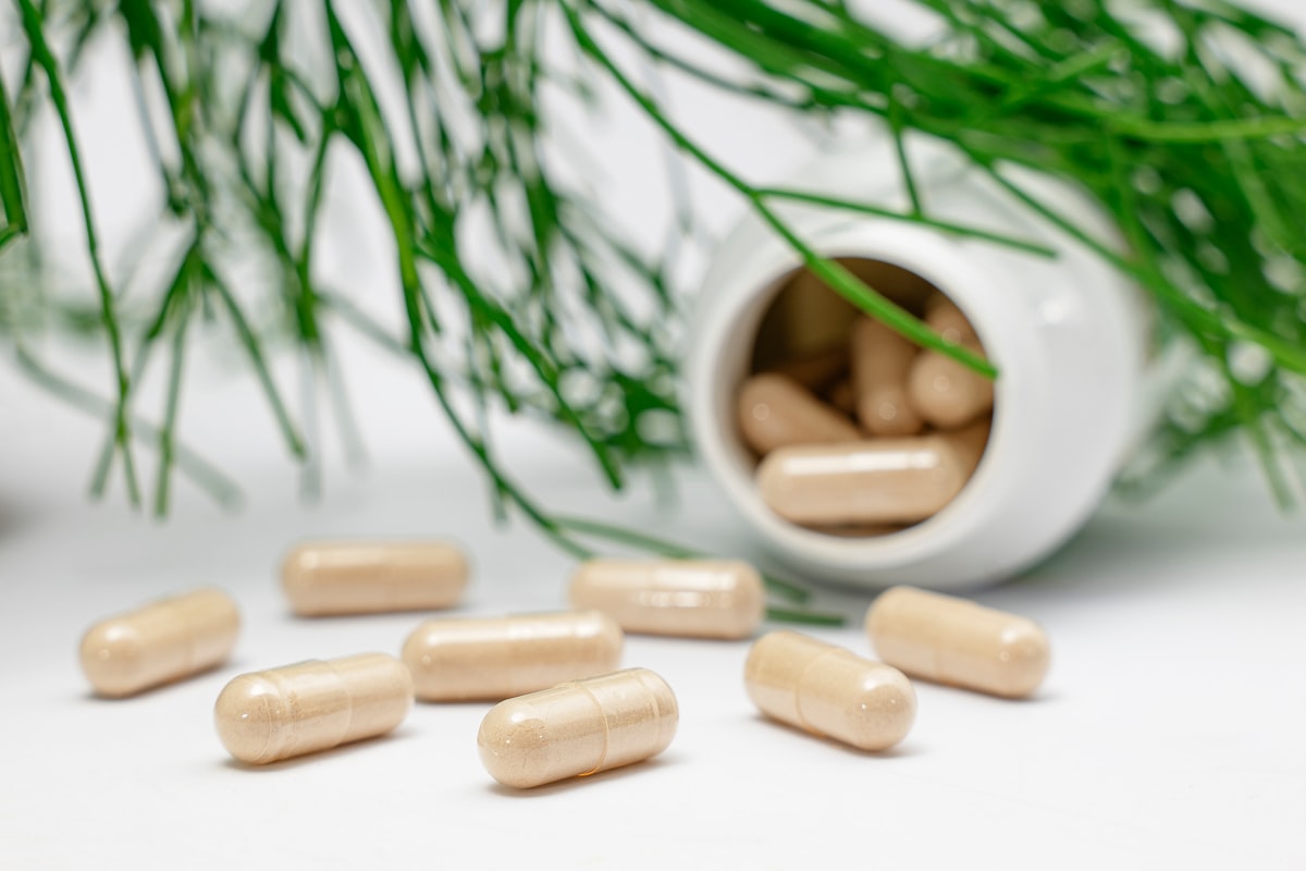 Vitality & Recovery Support